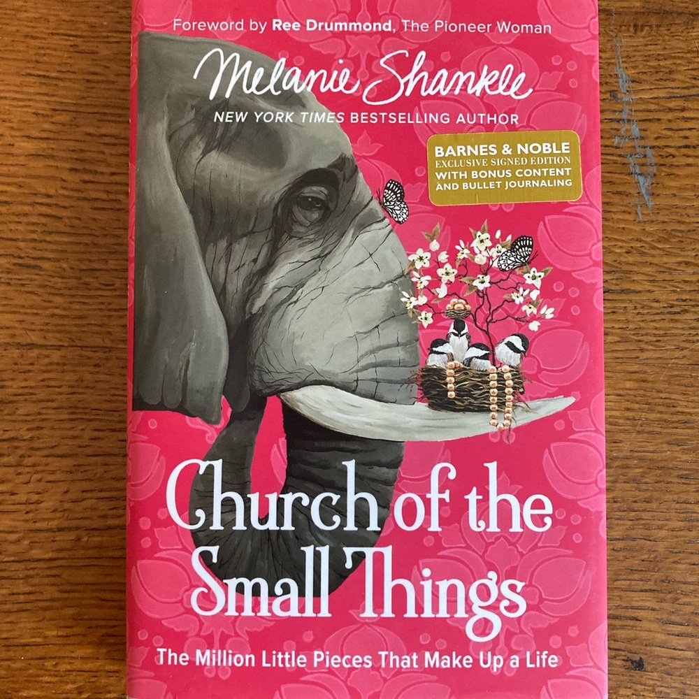 Book-Church of the Small Things